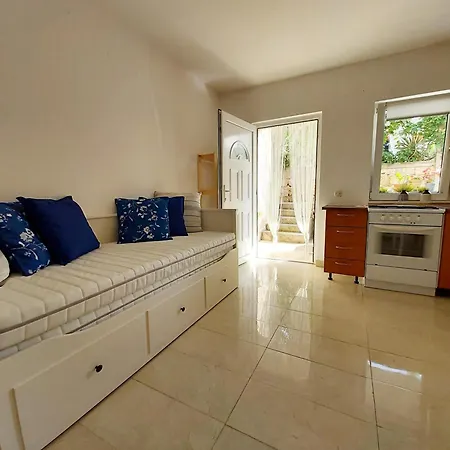 Olive Tree * 무르테르