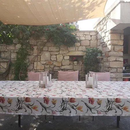 Olive Tree Murter