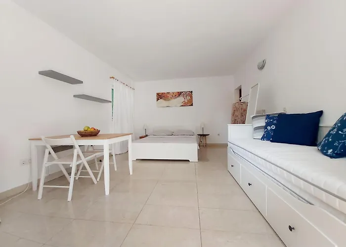 Olive Tree Appartement Murter